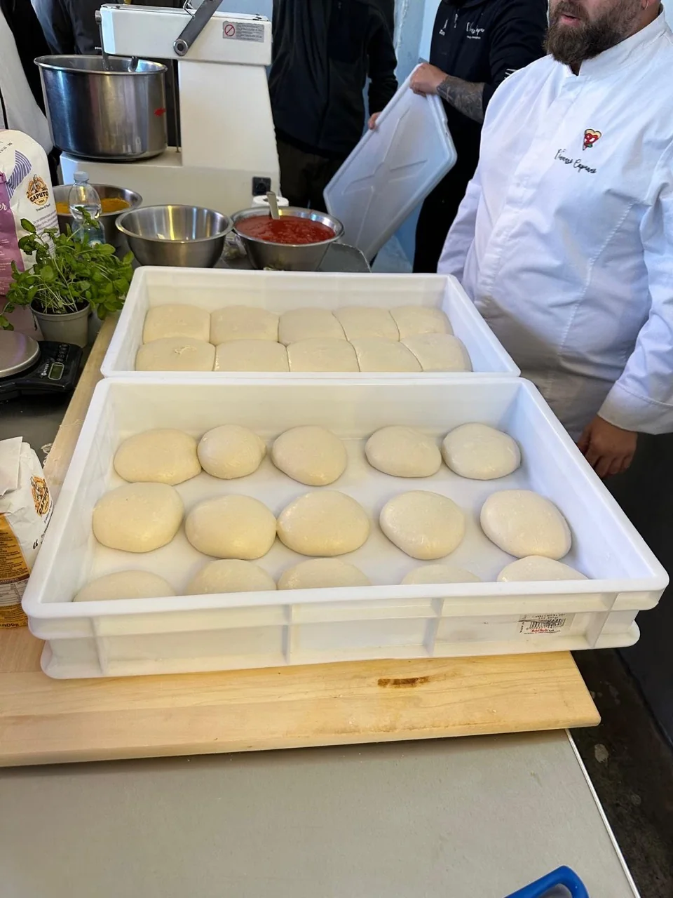 Panetti di impasto disposti nelle cassette sul banco.